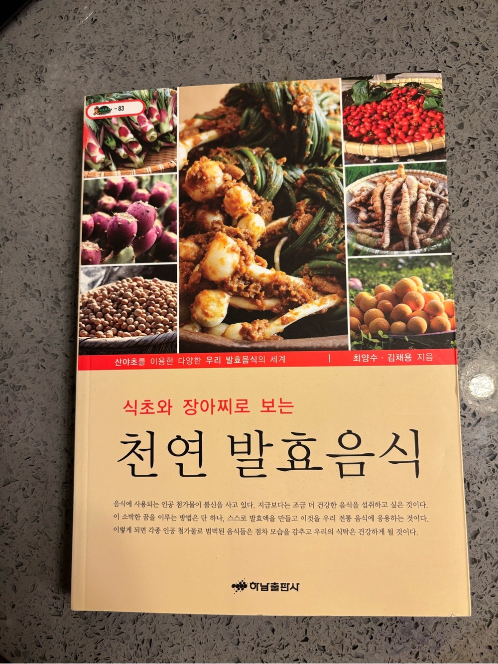 천연 발효음식 (Natural Fermented Foods) - Beige Cover Cookbook